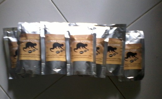 luwak coffee indonesia